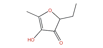 2-Ethyl-4-hydroxy-5-methylfuran-3(2H)-one